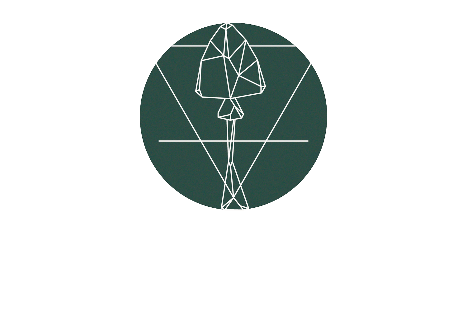 Cultura de Ciuperci