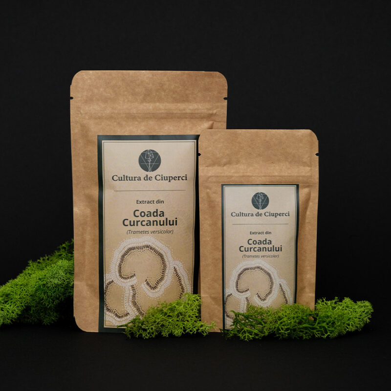 Coada Curcanului Extract Uscat